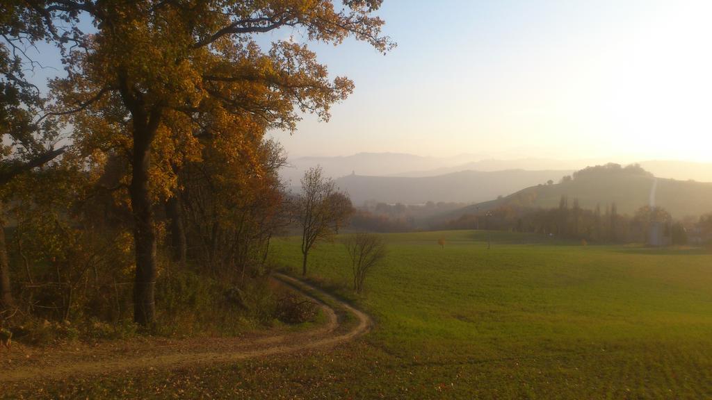 TavoletoPoggio Dei Prugnoli住宿加早餐旅馆 外观 照片