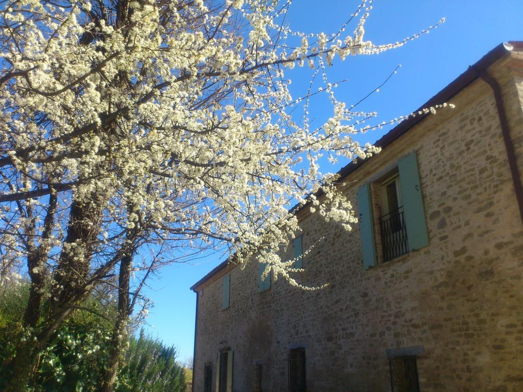 TavoletoPoggio Dei Prugnoli住宿加早餐旅馆 外观 照片