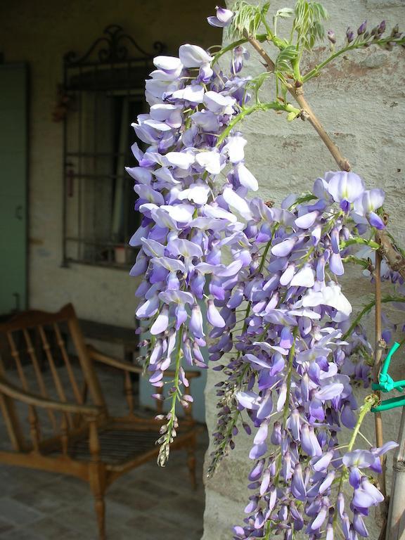 TavoletoPoggio Dei Prugnoli住宿加早餐旅馆 外观 照片